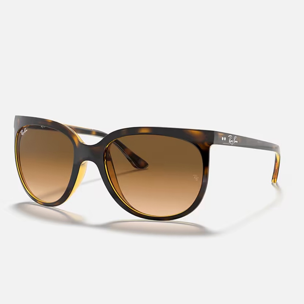 Raybans CAT Sunglasses (RB4126)